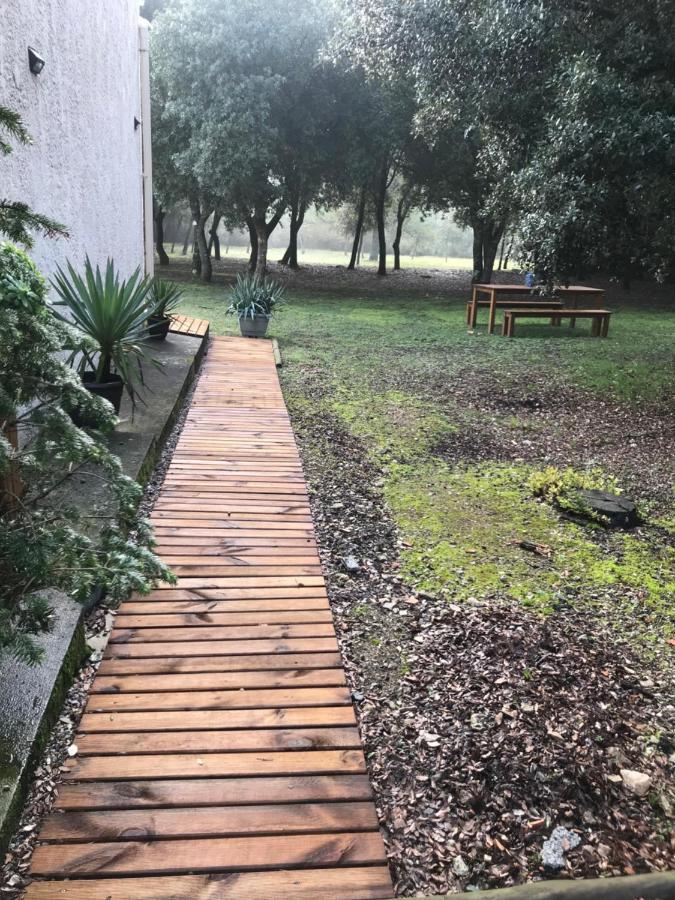 B&B La maison du petit bois Ventenac-Cabardès Extérieur photo